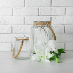 Terrarium til planter